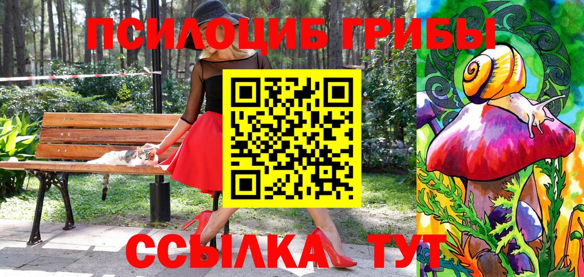 Галлюциногенные грибы Psilocybine cubensis Сухой Лог