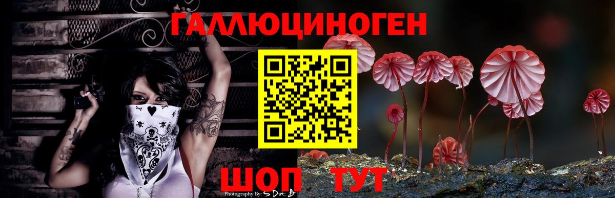 Псилоцибиновые грибы Cubensis  Галлюциногенные грибы Psilocybine cubensis  Вход с VPN  Сухой Лог 
